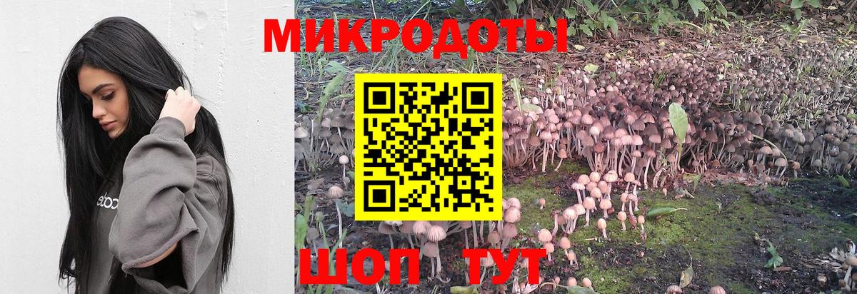 Псилоцибиновые грибы GOLDEN TEACHER Коммунар