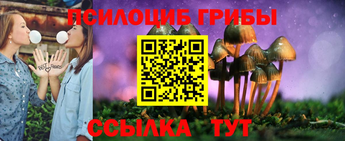 Коммунар  Псилоцибиновые грибы Psilocybe  Галлюциногенные грибы Psilocybine cubensis  Вход с VPN 